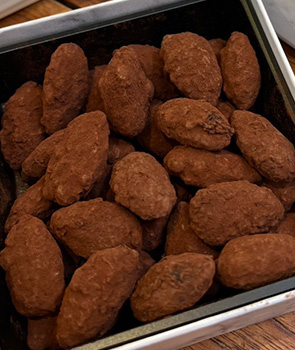 �A�[�����h�V���R��